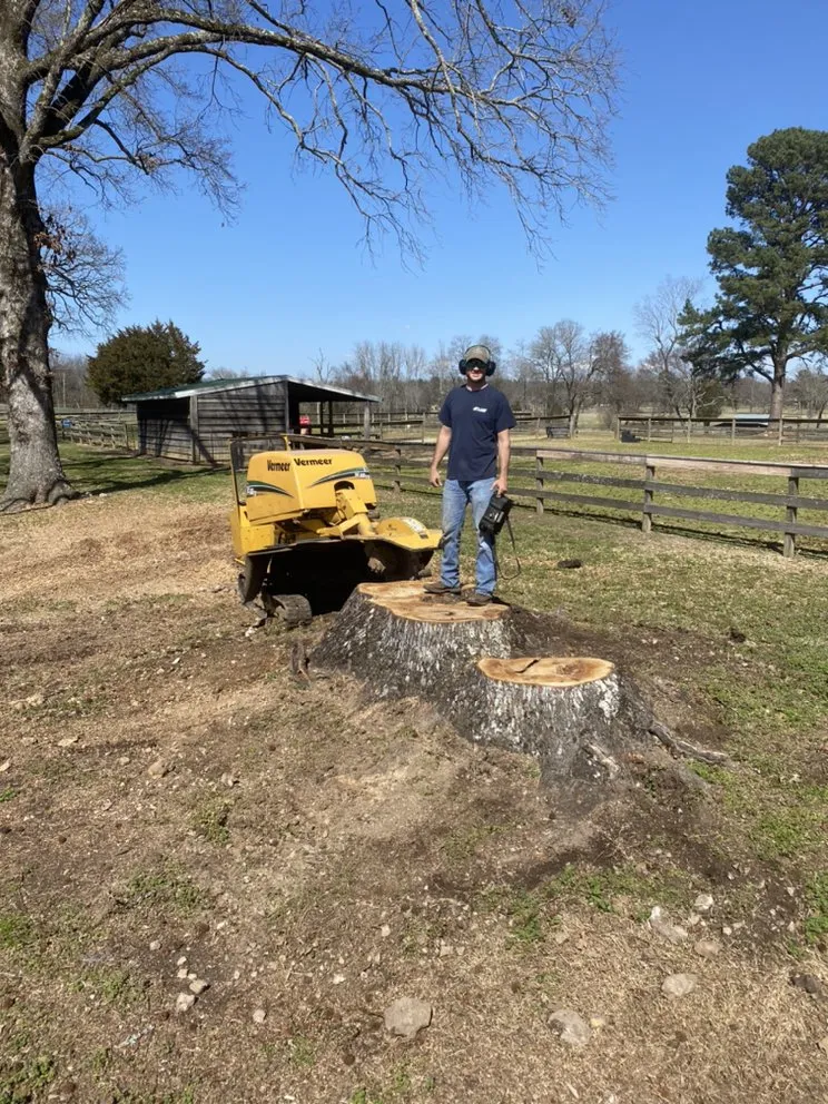 Expert outdoor landscaping in Hot Springs, AR - Stump Pro Grinding