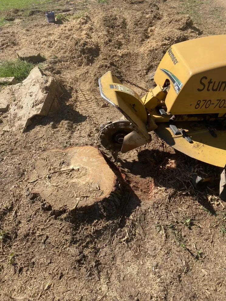 Trusted outdoor landscaping for homes in Hot Springs, AR by Stump Pro Grinding