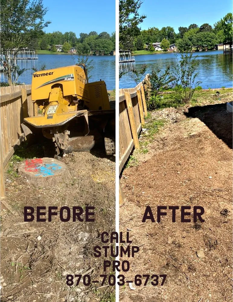 Local landscape design for year-round maintenance across Hot Springs, AR - Stump Pro Grinding
