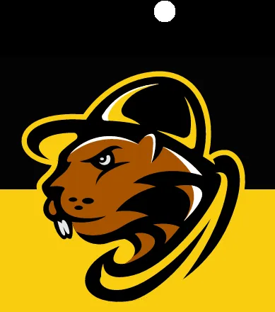 Affordable yard cleanup service in Alexandria, VA - Stump Pro Nova