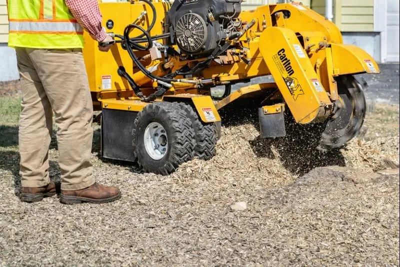 Custom yard maintenance for residential properties in Alexandria, VA by Stump Pro Nova