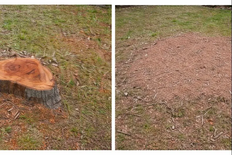 Custom outdoor landscaping for outdoor upgrades across Alexandria, VA - Stump Pro Nova