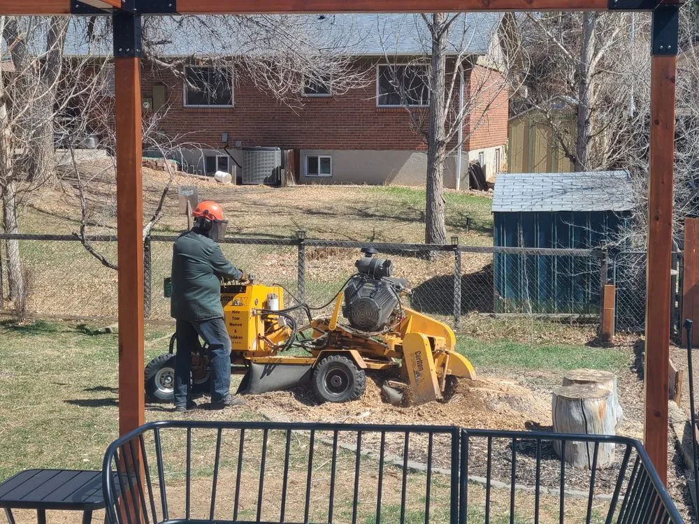 Expert residential landscaping in Aurora, CO by Stump Removal & Daughter