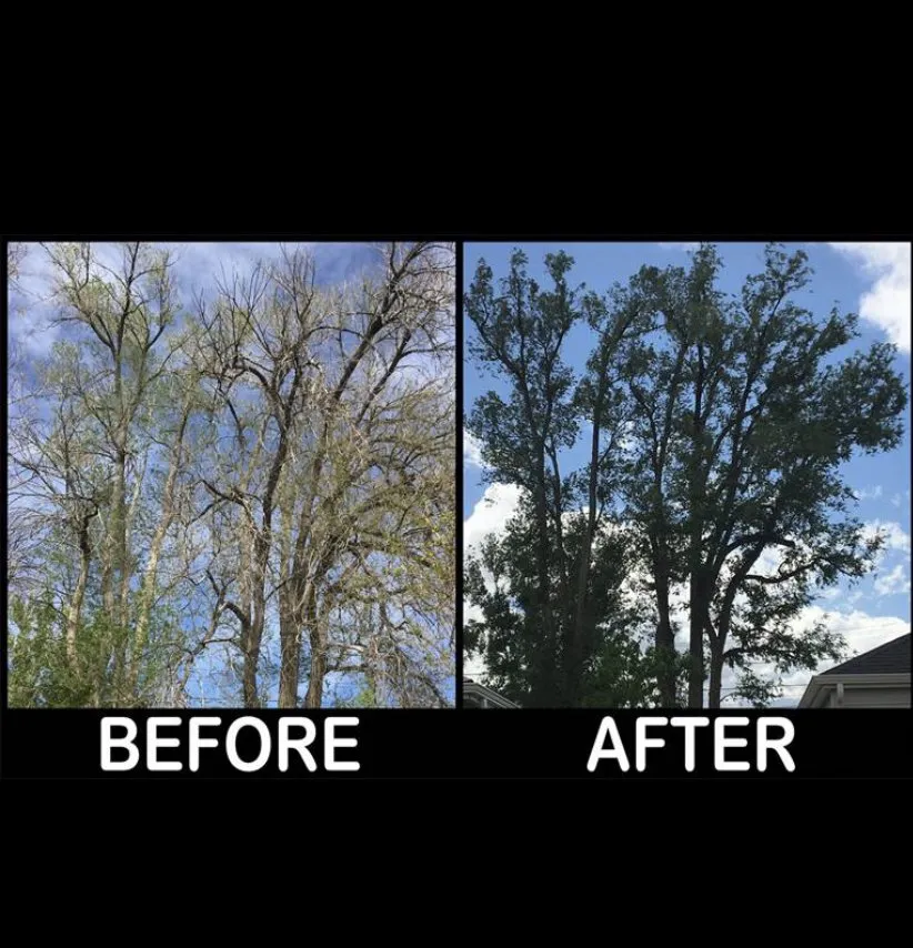 Professional lawn mowing service in Aurora, CO by Stump Removal & Daughter