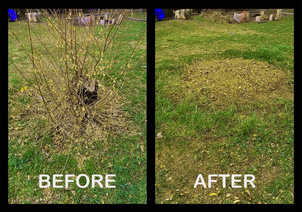 Professional residential landscaping near you in Aurora, CO by Stump Removal & Daughter