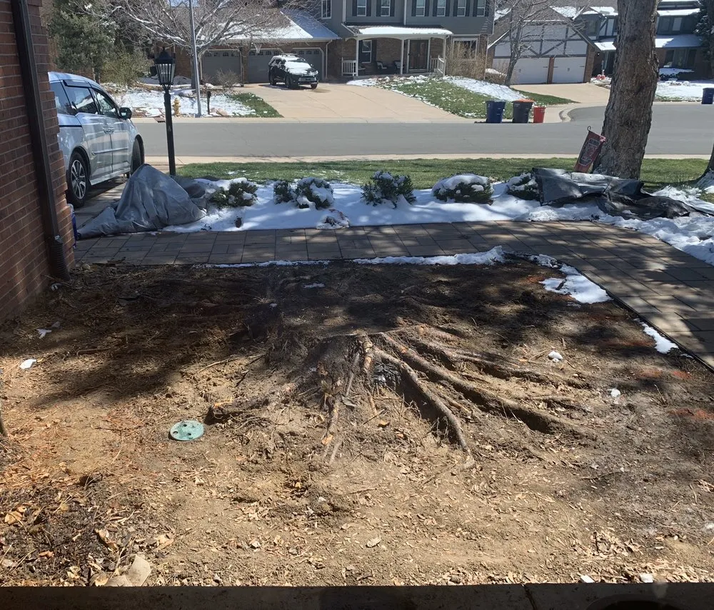 Top-rated residential landscaping experts serving Aurora, CO - Stump Removal & Daughter