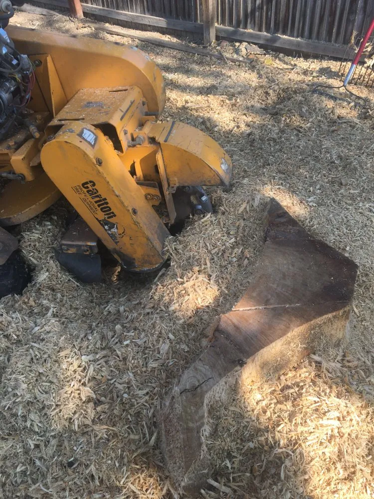 Professional lawn care service in Aurora, CO by Stump Removal & Daughter