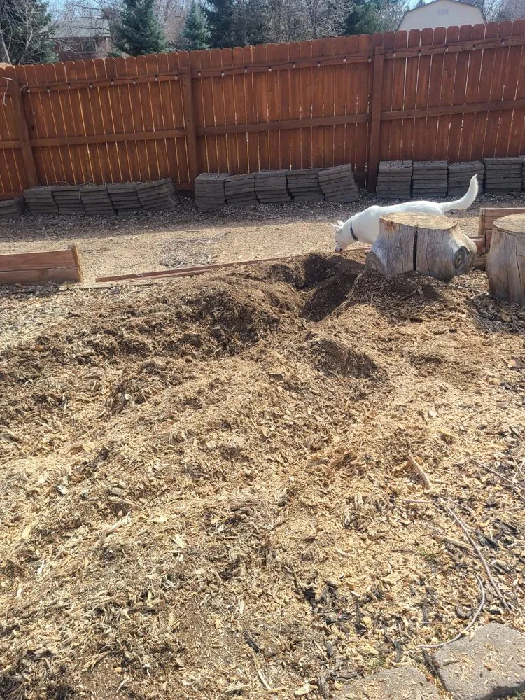 Professional yard maintenance in Aurora, CO by Stump Removal & Daughter