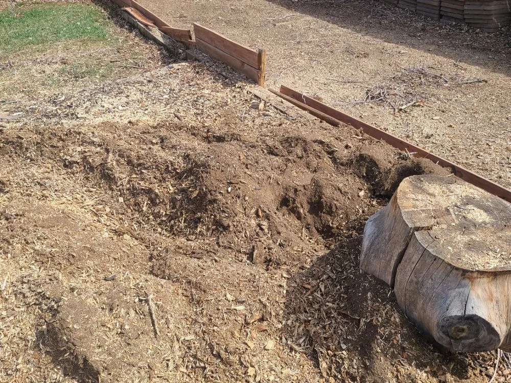 Expert lawn mowing service near you in Aurora, CO by Stump Removal & Daughter