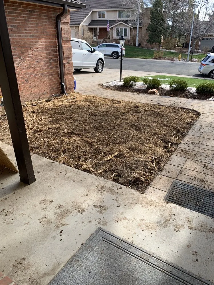 Reliable lawn care service with custom design in Aurora, CO by Stump Removal & Daughter