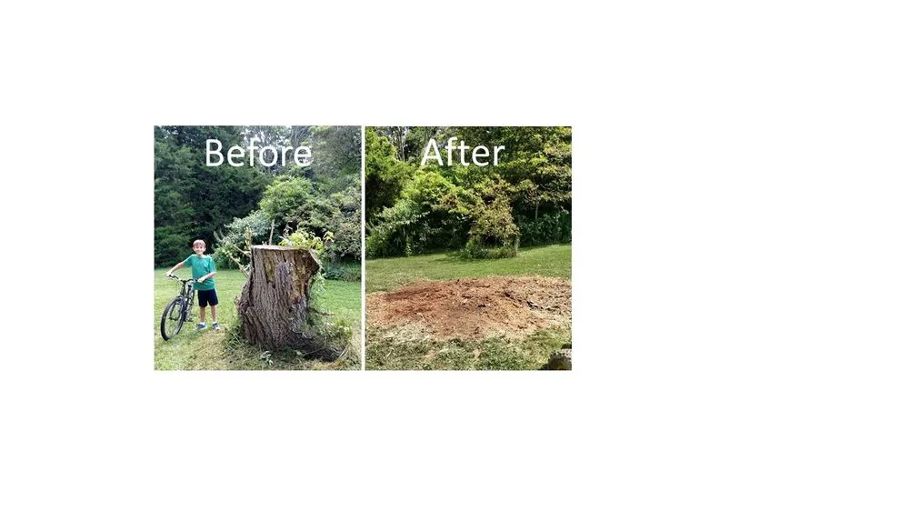 Affordable residential landscaping for year-round maintenance across Williamsburg, OH - Stump Shark