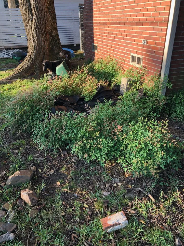 Custom landscape design in Little Rock, AR by Stump Solutions of Arkansas