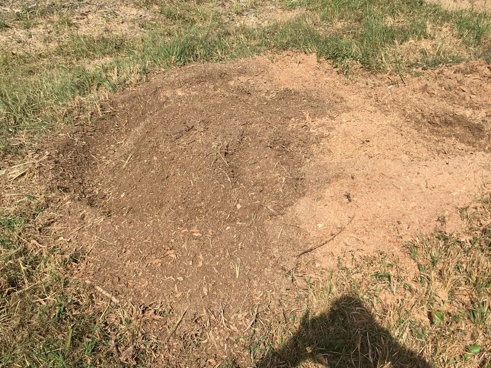 Professional lawn mowing service for residential properties across Little Rock, AR - Stump Solutions of Arkansas