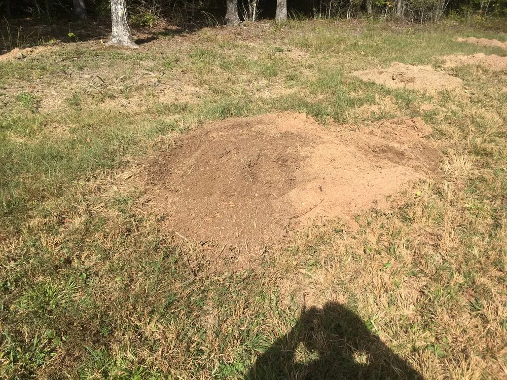 Top-rated lawn mowing service near you across Little Rock, AR - Stump Solutions of Arkansas