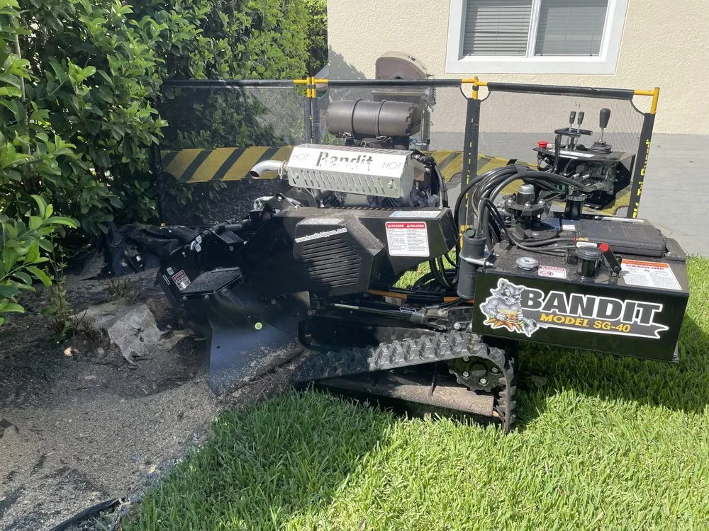 Custom yard cleanup service in New Smyrna Beach, FL - Stump Stompers