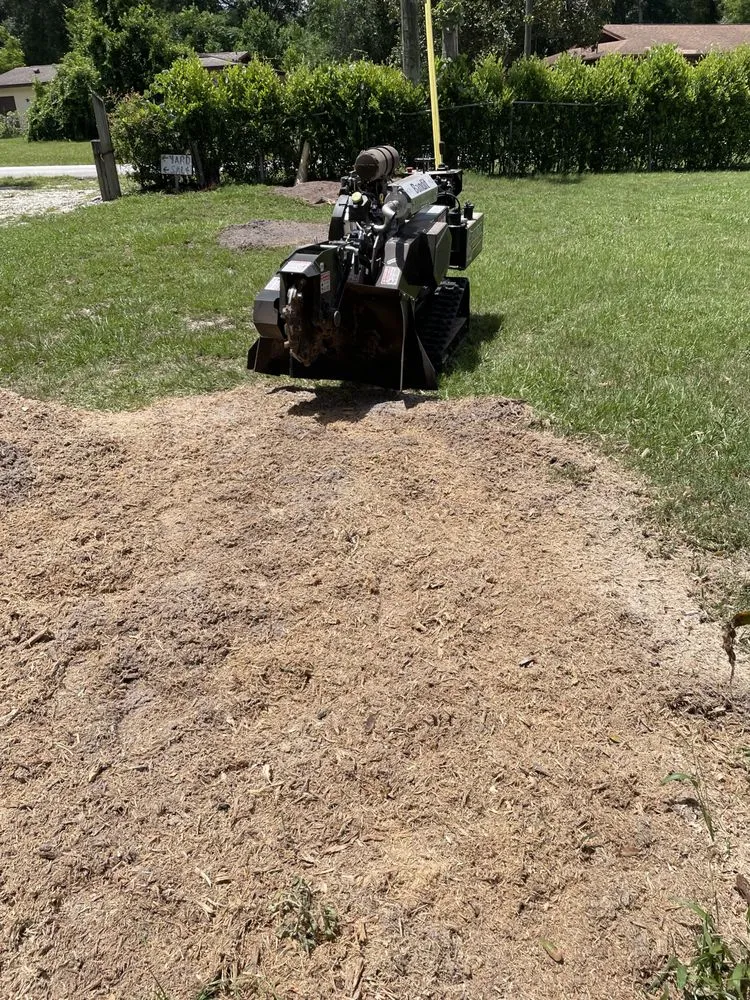 Expert yard cleanup service in New Smyrna Beach, FL - Stump Stompers