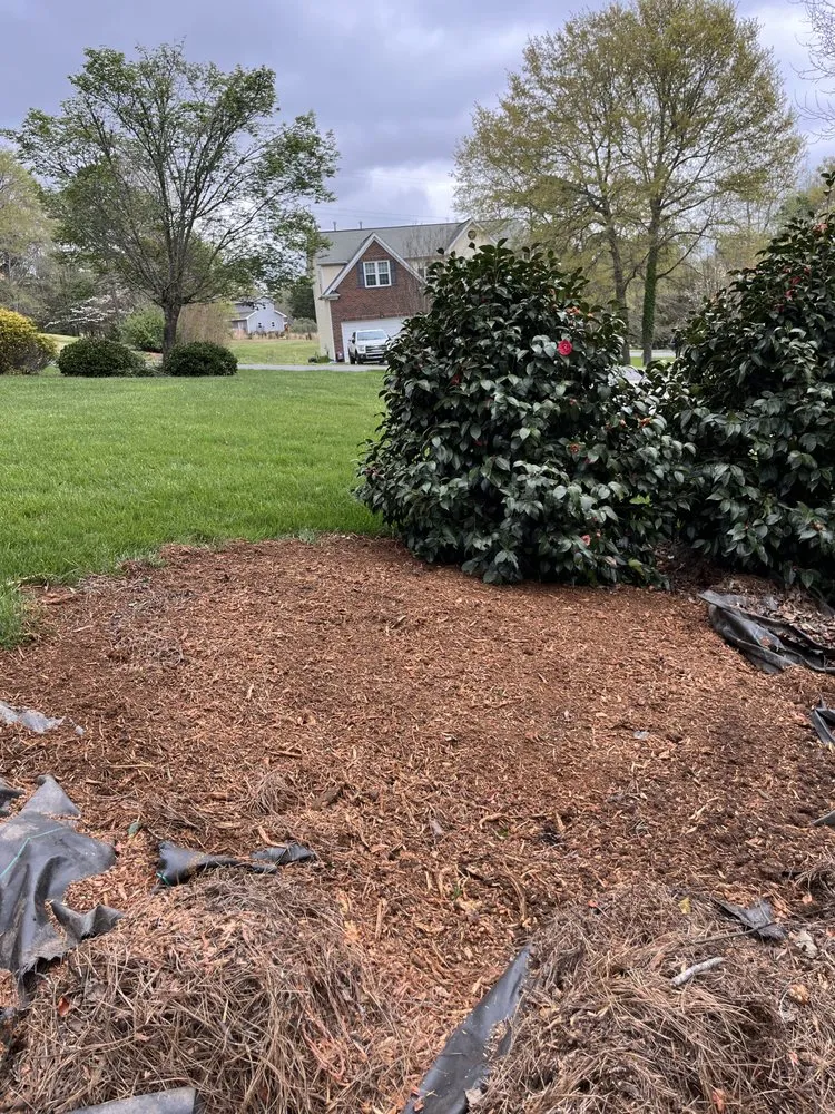 Trusted lawn care service for beautiful yards in Rock Hill, SC by Stump Stompers