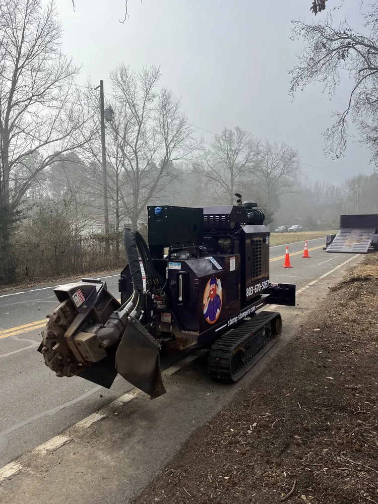 Professional yard cleanup service in Rock Hill, SC by Stump Stompers