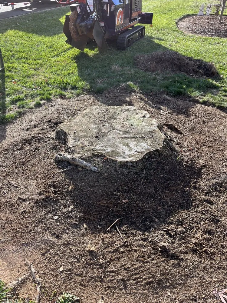 Expert landscape installation in Rock Hill, SC - Stump Stompers