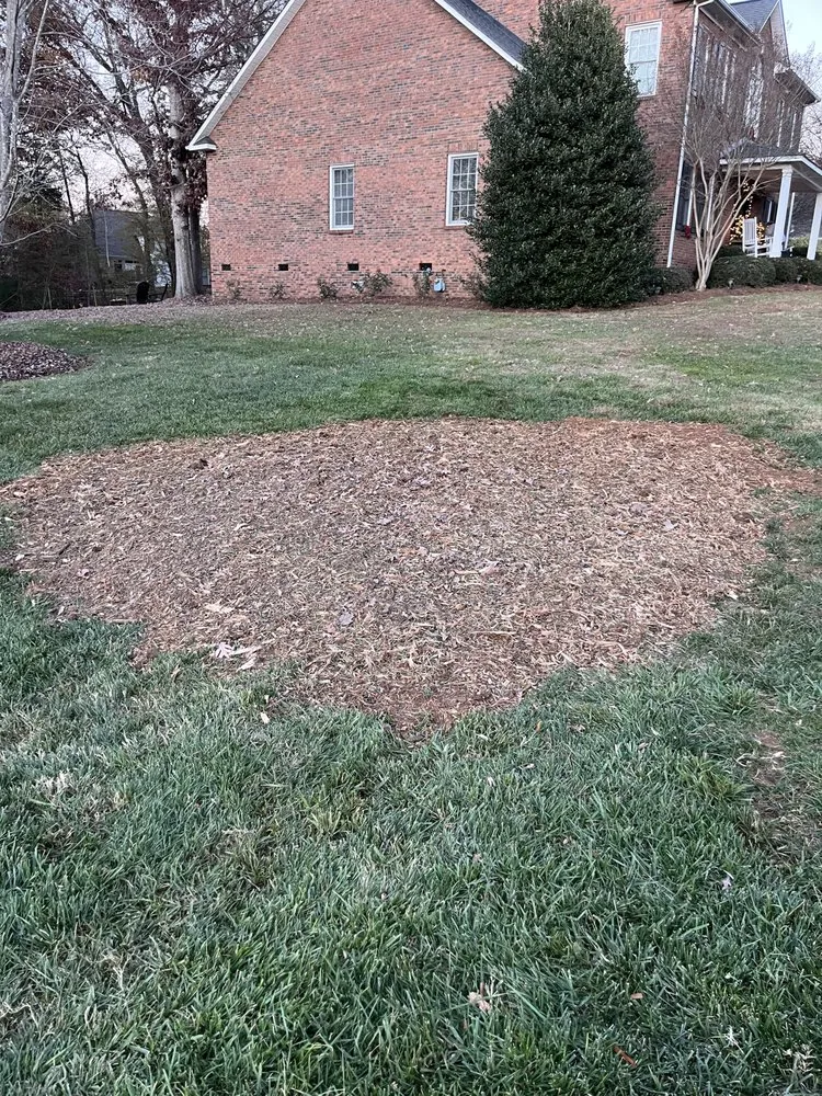 Reliable landscape design for homes in Rock Hill, SC by Stump Stompers