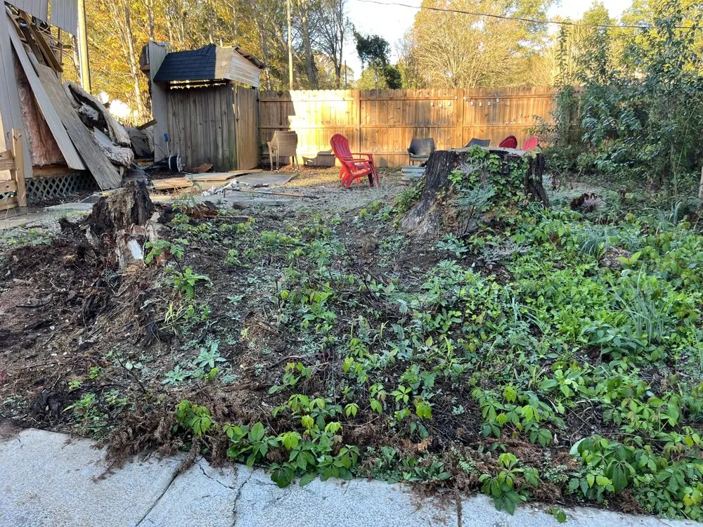 Professional residential landscaping in Rock Hill, SC by Stump Stompers