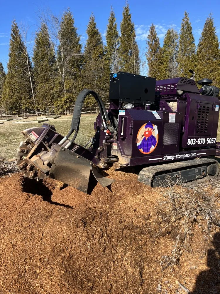 Expert yard cleanup service in Rock Hill, SC - Stump Stompers