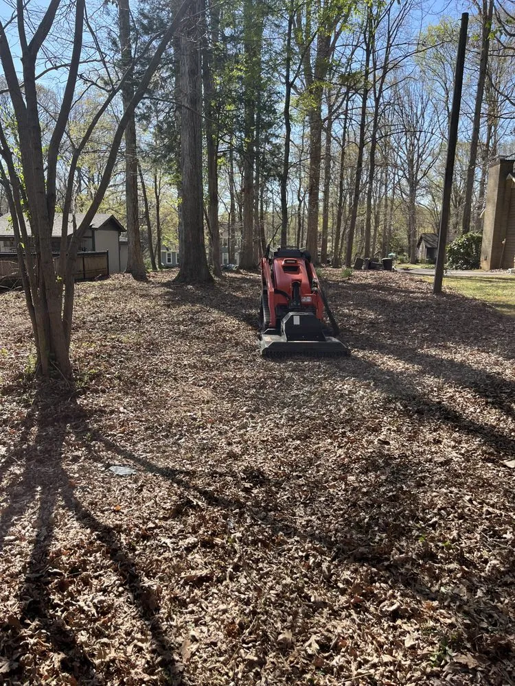 Local outdoor landscaping for homes in Rock Hill, SC by Stump Stompers