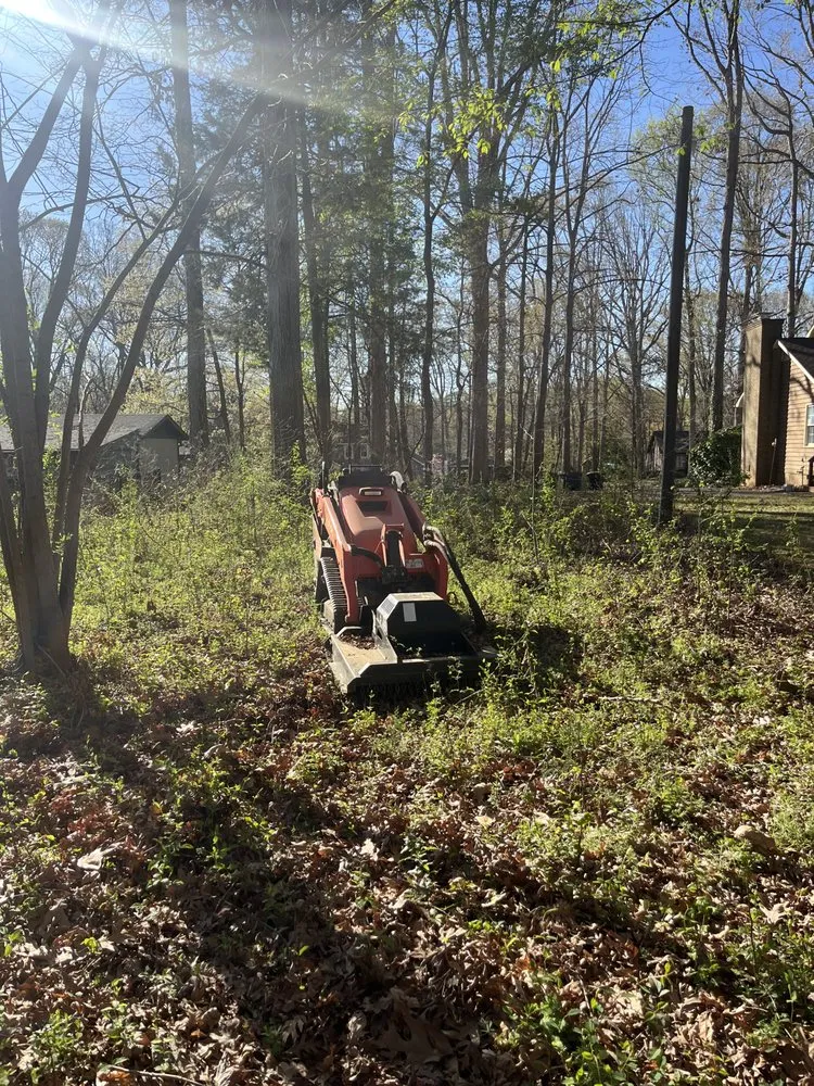 Professional yard maintenance in Rock Hill, SC - Stump Stompers