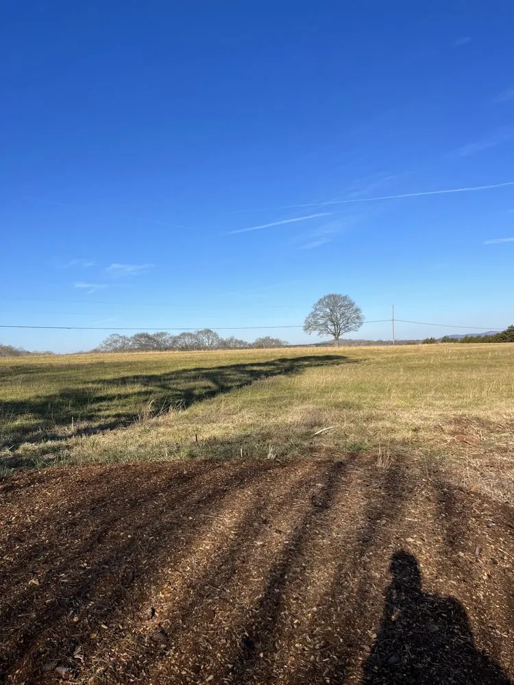 Local lawn mowing service experts serving Rock Hill, SC - Stump Stompers