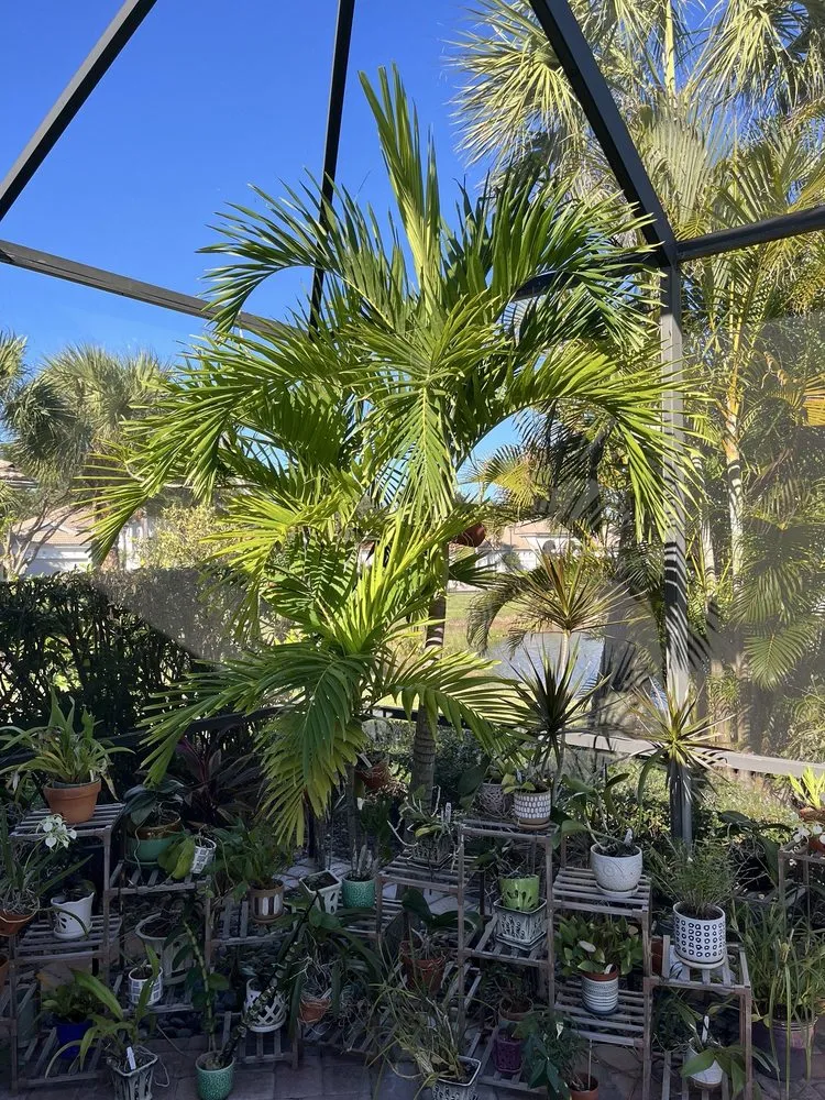 Custom lawn care service with custom design across Fort Myers, FL - Stump This