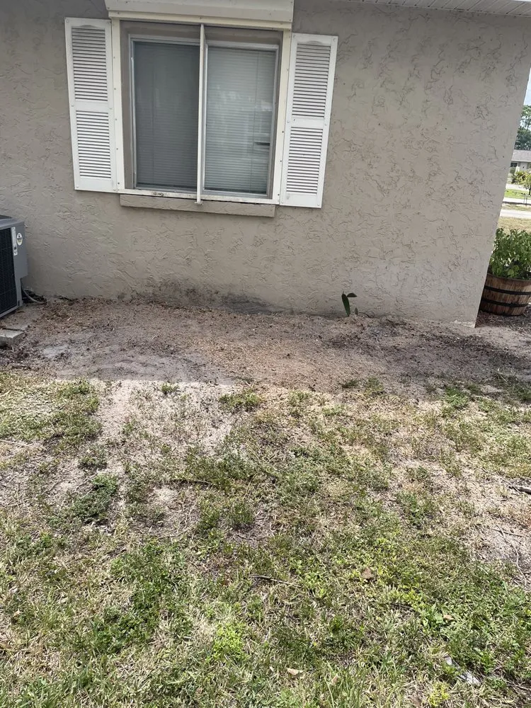 Reliable yard cleanup service for outdoor upgrades in Fort Myers, FL by Stump This