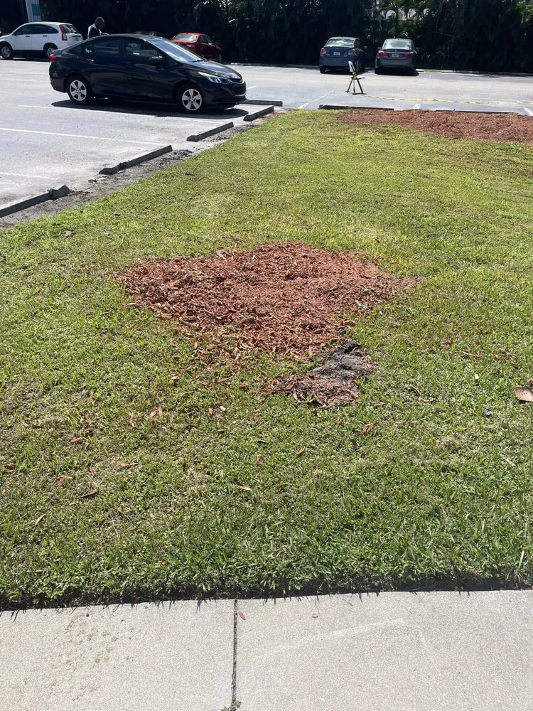Reliable residential landscaping experts serving Fort Myers, FL - Stump This