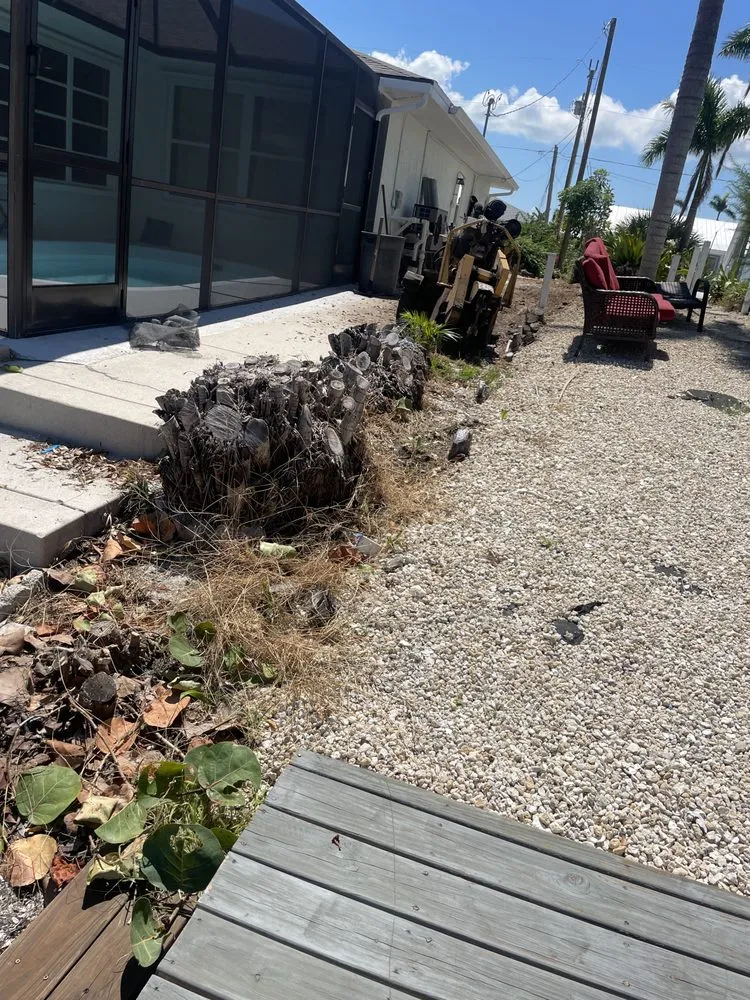 Affordable landscape design in Fort Myers, FL - Stump This