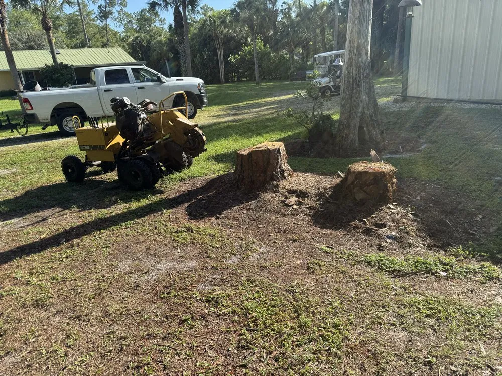 Custom outdoor landscaping for homes across Fort Myers, FL - Stump This