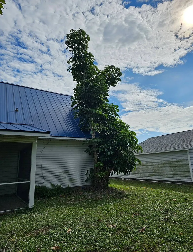 Professional outdoor landscaping in Fort Myers, FL by Stump This