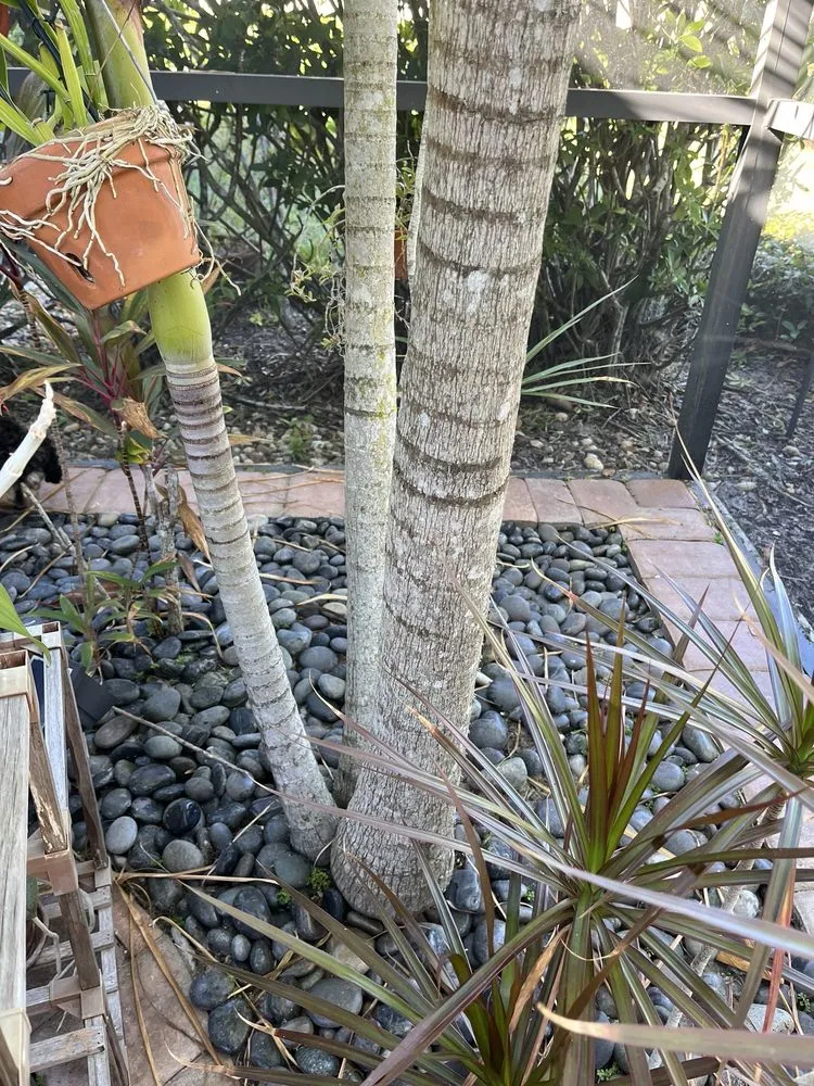 Local lawn mowing service near you in Fort Myers, FL by Stump This