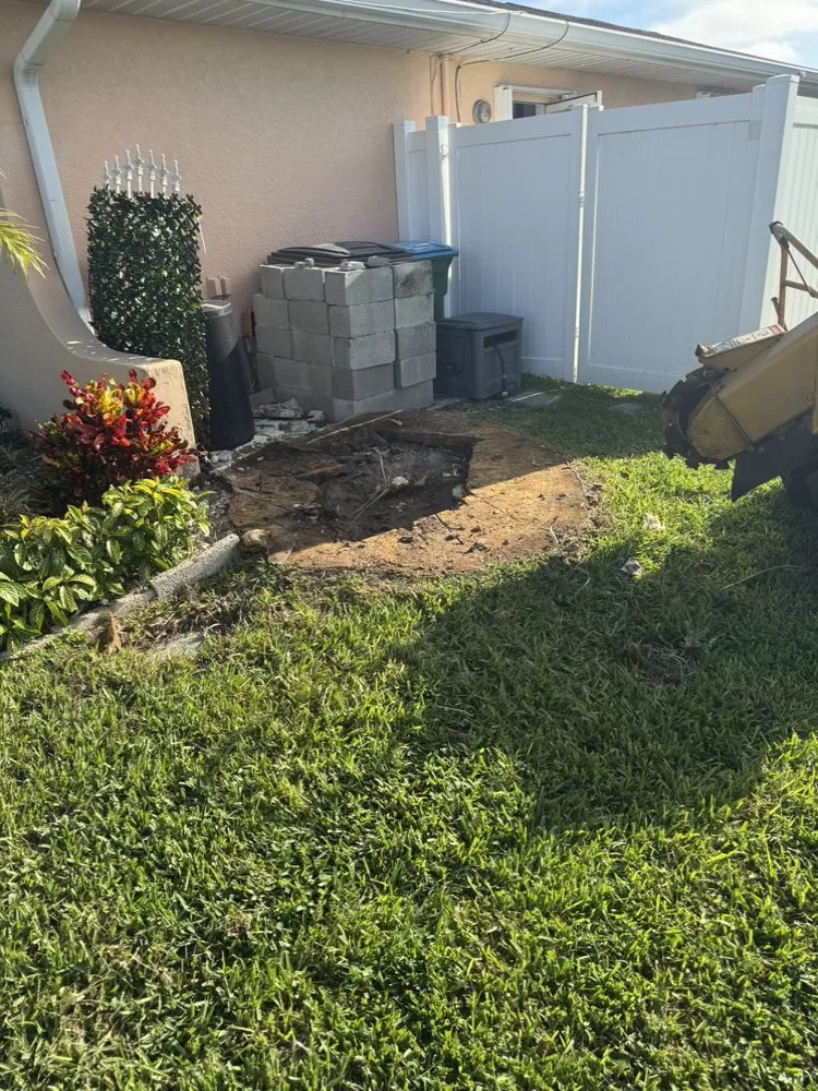 Reliable lawn mowing service in Fort Myers, FL - Stump This