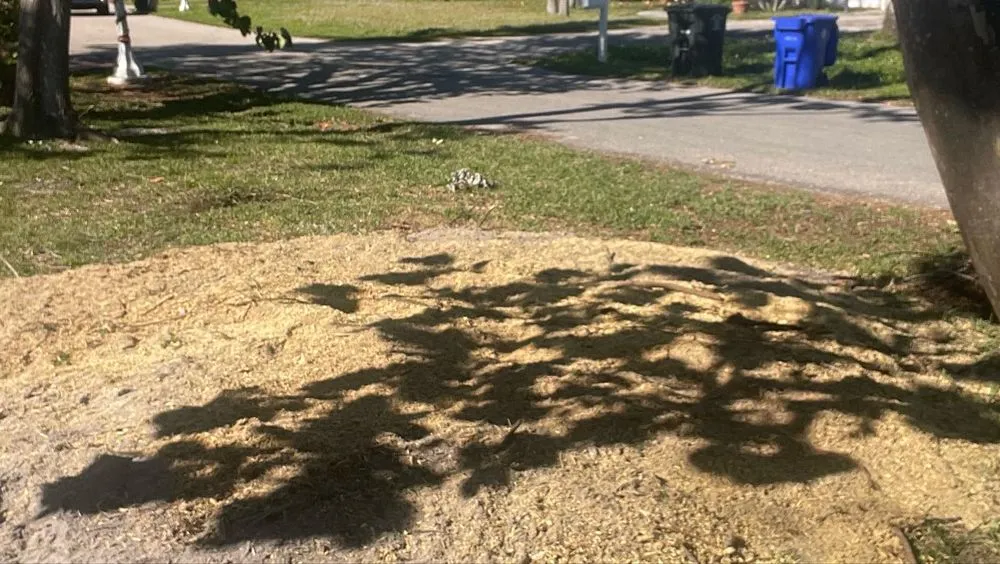 Professional outdoor landscaping in Fort Myers, FL - Stump This