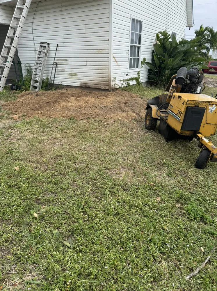 Affordable yard cleanup service in Fort Myers, FL - Stump This