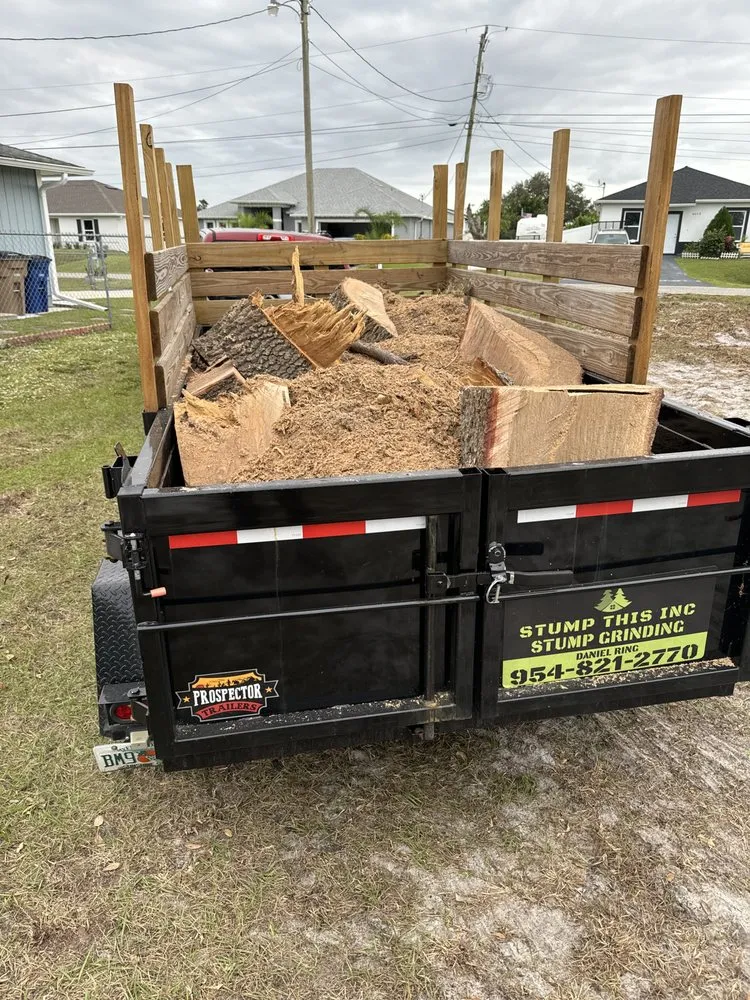 Reliable landscape installation for outdoor upgrades across Fort Myers, FL - Stump This
