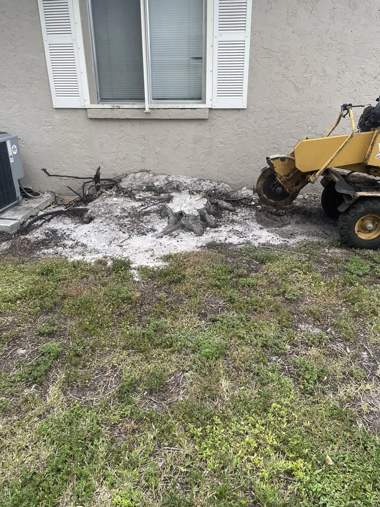 Reliable lawn mowing service near you in Fort Myers, FL by Stump This