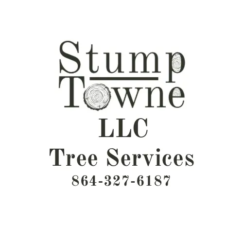 Top-rated yard cleanup service for outdoor upgrades across Honea Path, SC - Stump Towne