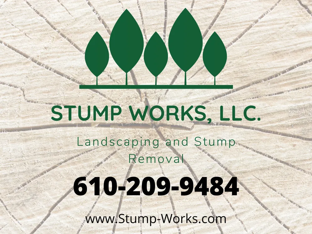 Expert lawn care service for outdoor upgrades across West Chester, PA - Stump Works