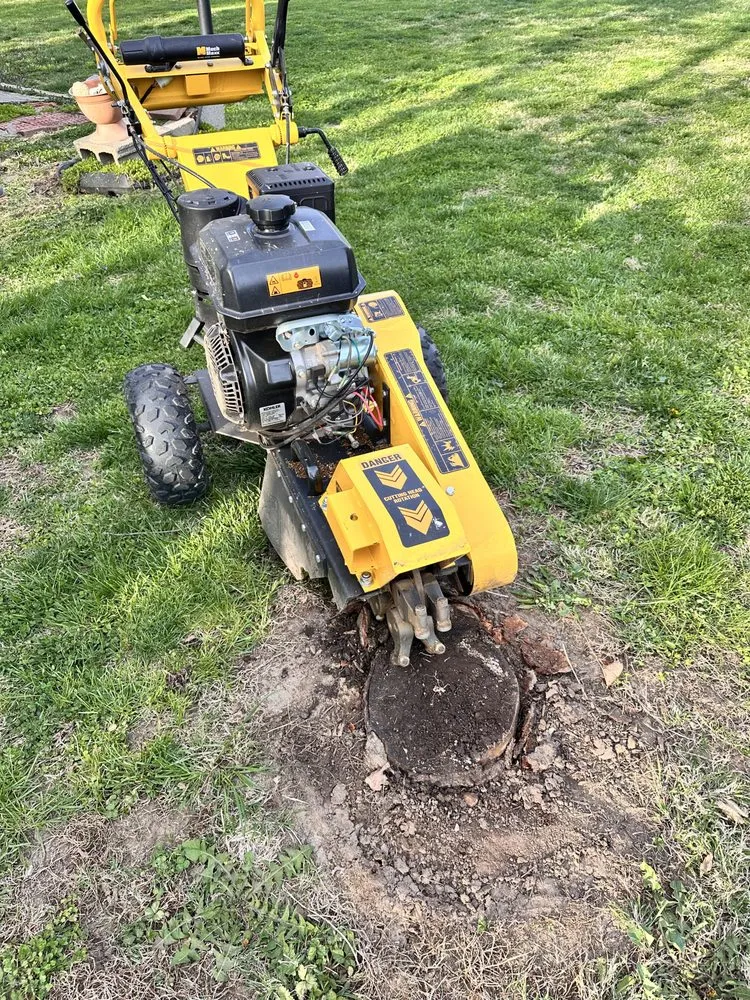 Local lawn care service for beautiful yards in Martinsville, IN by Stump X