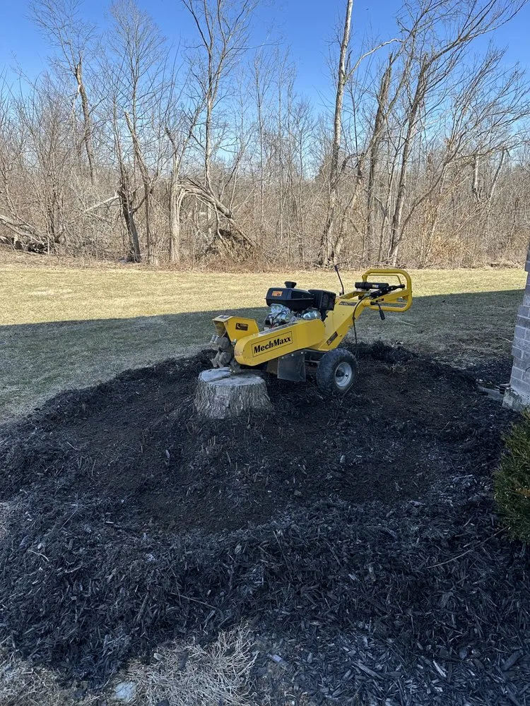 Expert yard cleanup service experts serving Martinsville, IN - Stump X