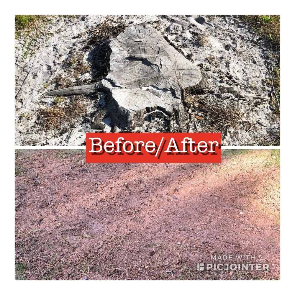 Top-rated outdoor landscaping for beautiful yards across Merritt Island, FL - Stump-X