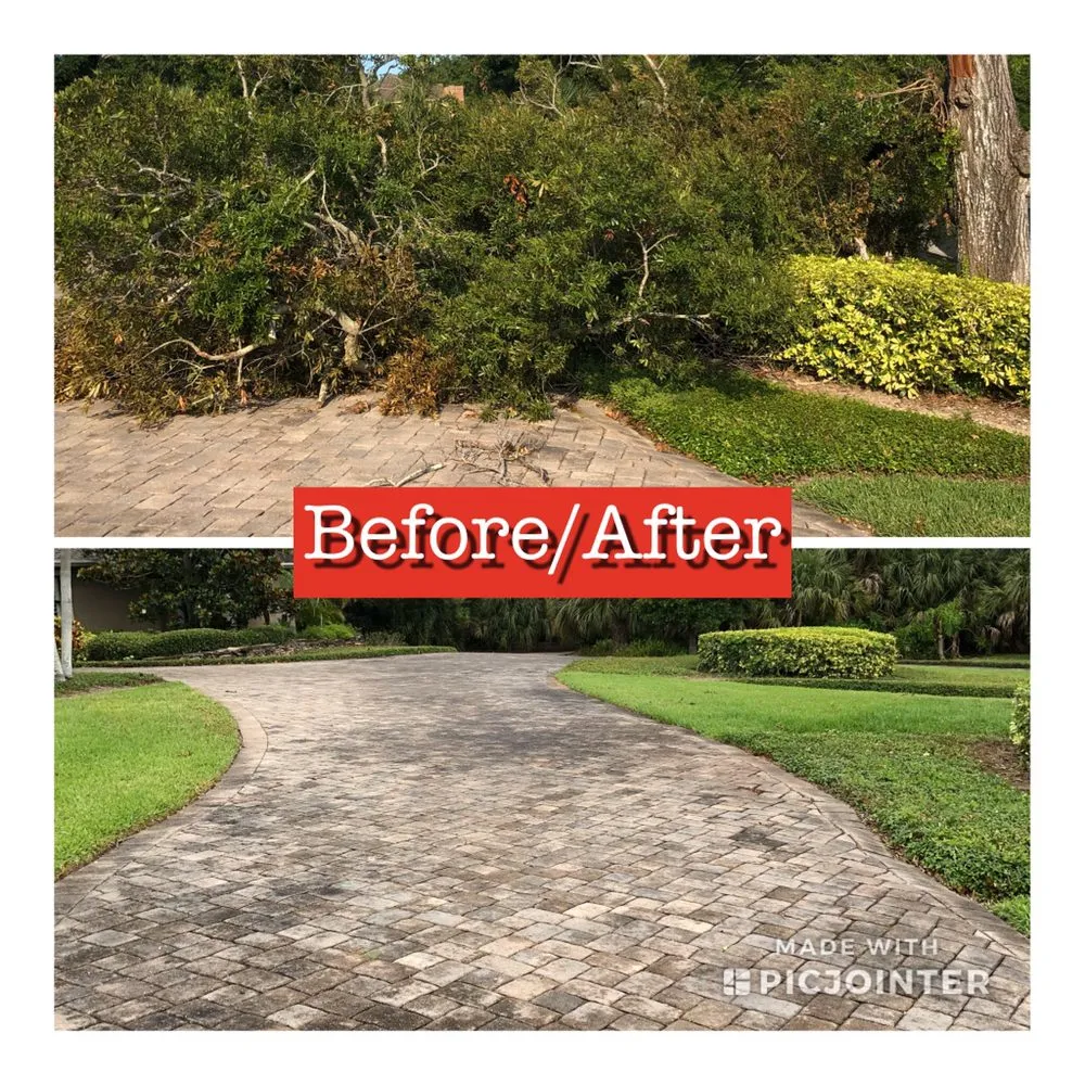 Top-rated yard cleanup service in Merritt Island, FL by Stump-X