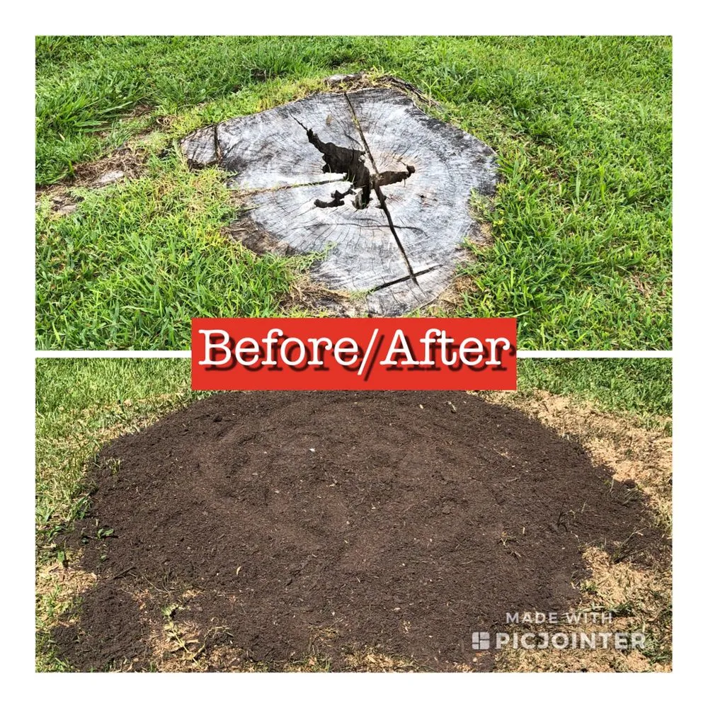 Expert lawn mowing service near you in Merritt Island, FL by Stump-X