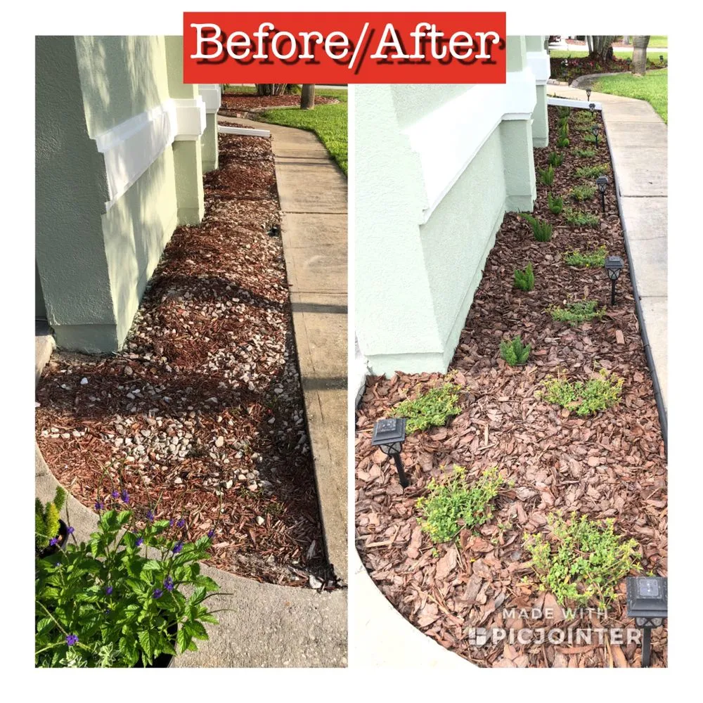 Top-rated landscape installation in Merritt Island, FL by Stump-X