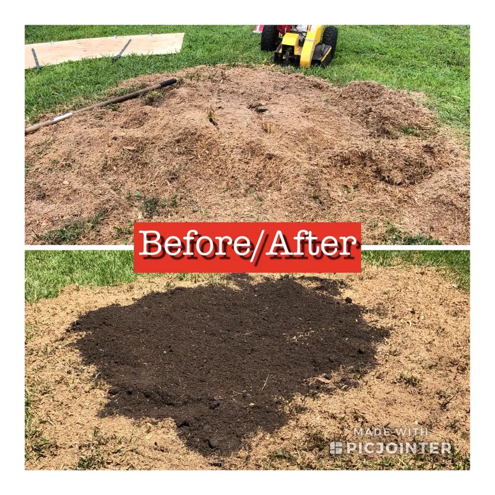 Trusted yard maintenance in Merritt Island, FL by Stump-X